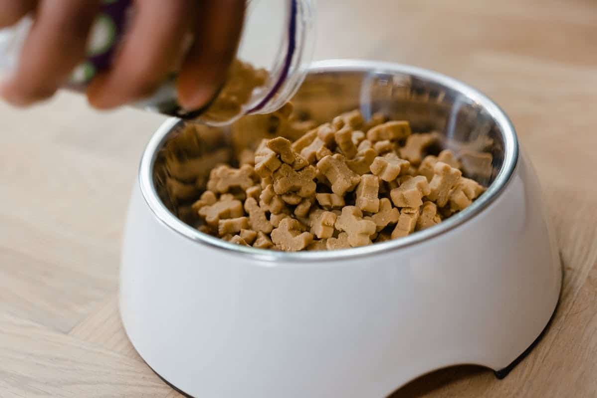 chiens  aliments