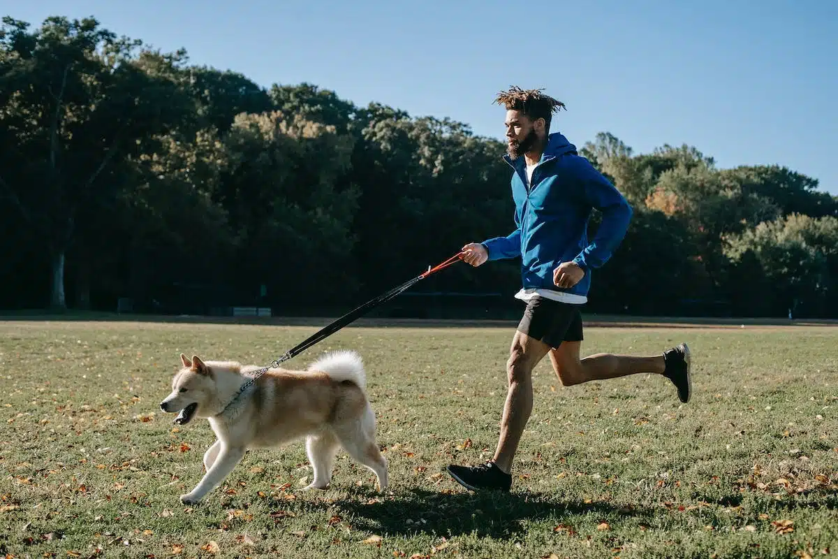 chien sportif