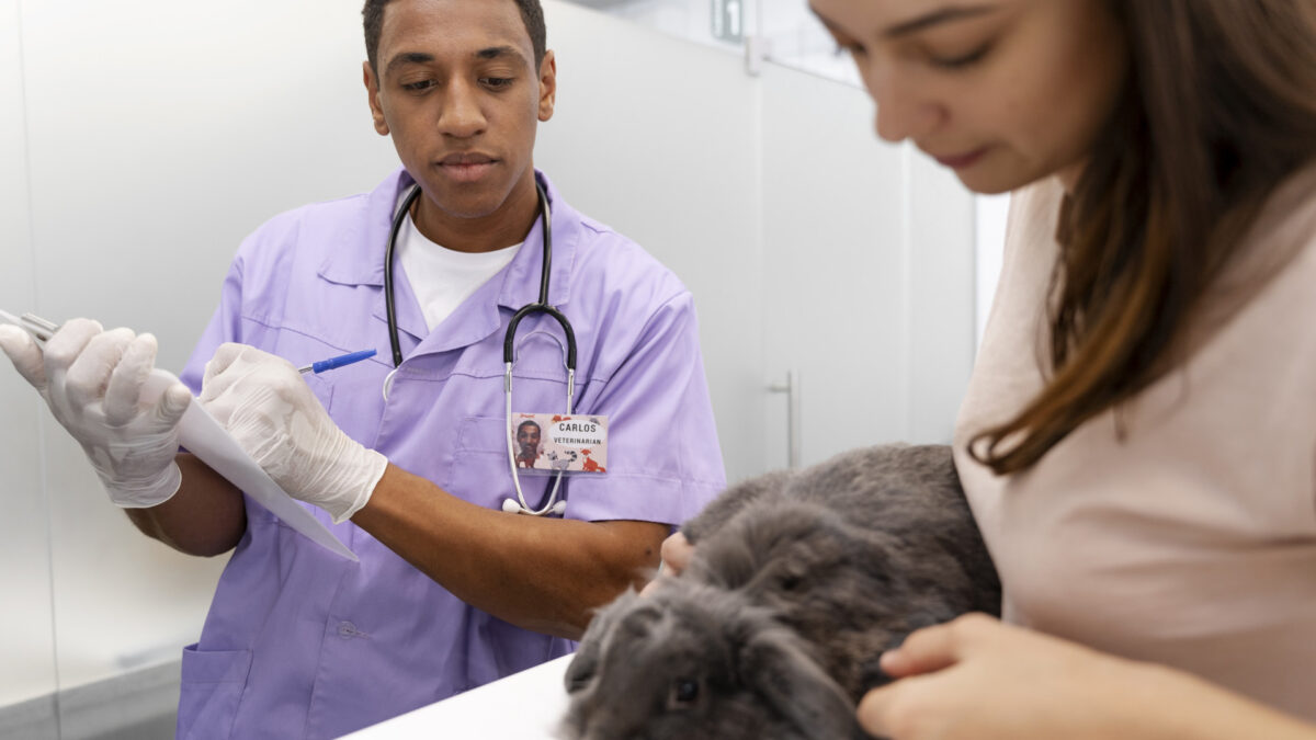 Assurance animaux en France : pourquoi si peu d'animaux sont-ils couverts ?