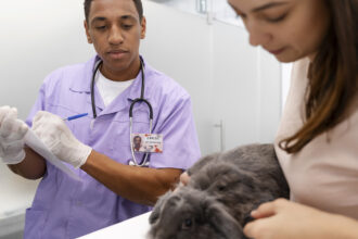 Assurance animaux en France : pourquoi si peu d'animaux sont-ils couverts ?