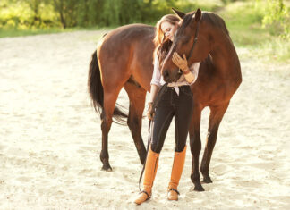 3 conseils d’experts pour prendre soin de son cheval en hiver