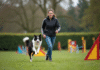 Jeune femme guide son chien d'agilité en extérieur