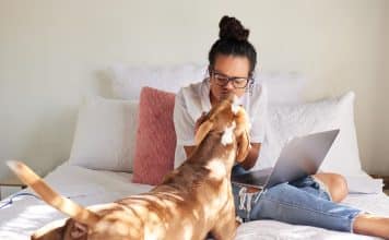 Quels sont les effets de partager son lit avec son chien ?